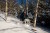 200803006 thumbnail