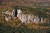 201010_051 thumbnail